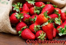 Omgiestrawberry