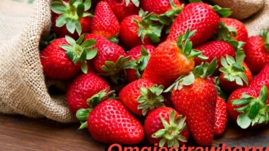 Omgiestrawberry